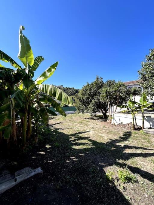 Maison Provencale 3 Chambres Cagnes-sur-Mer Dış mekan fotoğraf